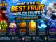 what is the best fruit in blox fruits